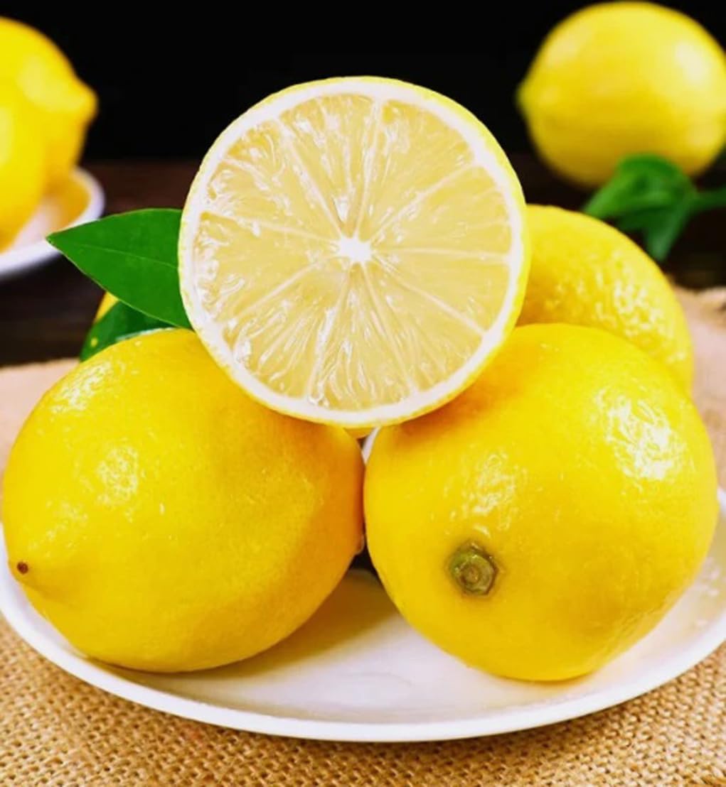 BULBORIUM Meyer lemon seeds soaking for germination readiness and early prep.