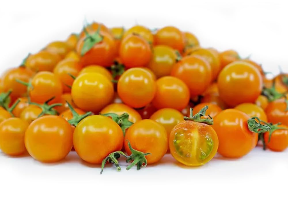 BULBORIUM orange hat micro dwarf tomato fruits close-up showcases sweet orange cherries