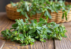 BULBORIUM Purslane seeds pack close-up—lemony flavor and versatile garden use.
