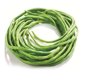 Bulborium Yard Long Bean Seeds germination close-up indicating heat-tolerant potential in warm climates.