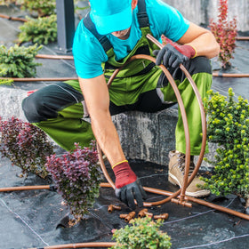 BuleVina watering line end cap with three barbs for tight connections.