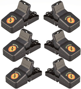 Bullseye six-pack traps with teeth for versatile indoor outdoor use