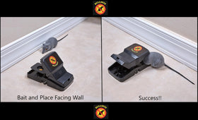 Bullseye ABS body is durable and weather resistant for outdoors