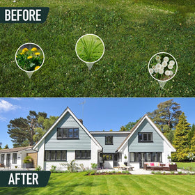 Bulunow stand-up tool helps pull stubborn weeds and roots.