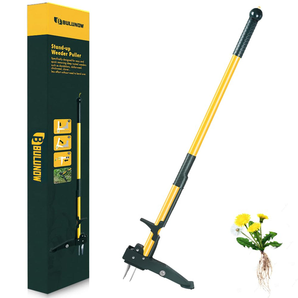 Bulunow weed puller 50in stand-up in use, easing bending and saving time.
