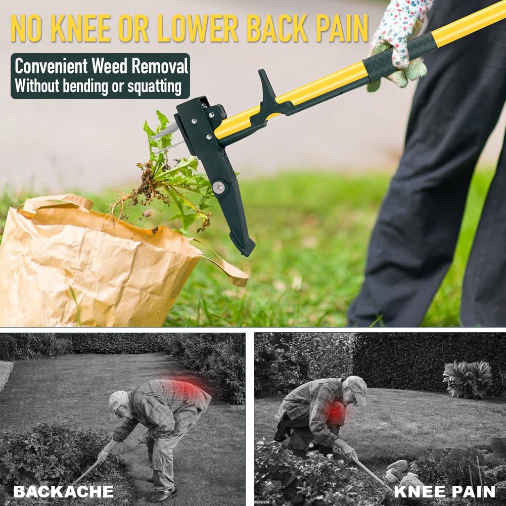 Bulunow weed puller makes removing thistles and dandelions easier.