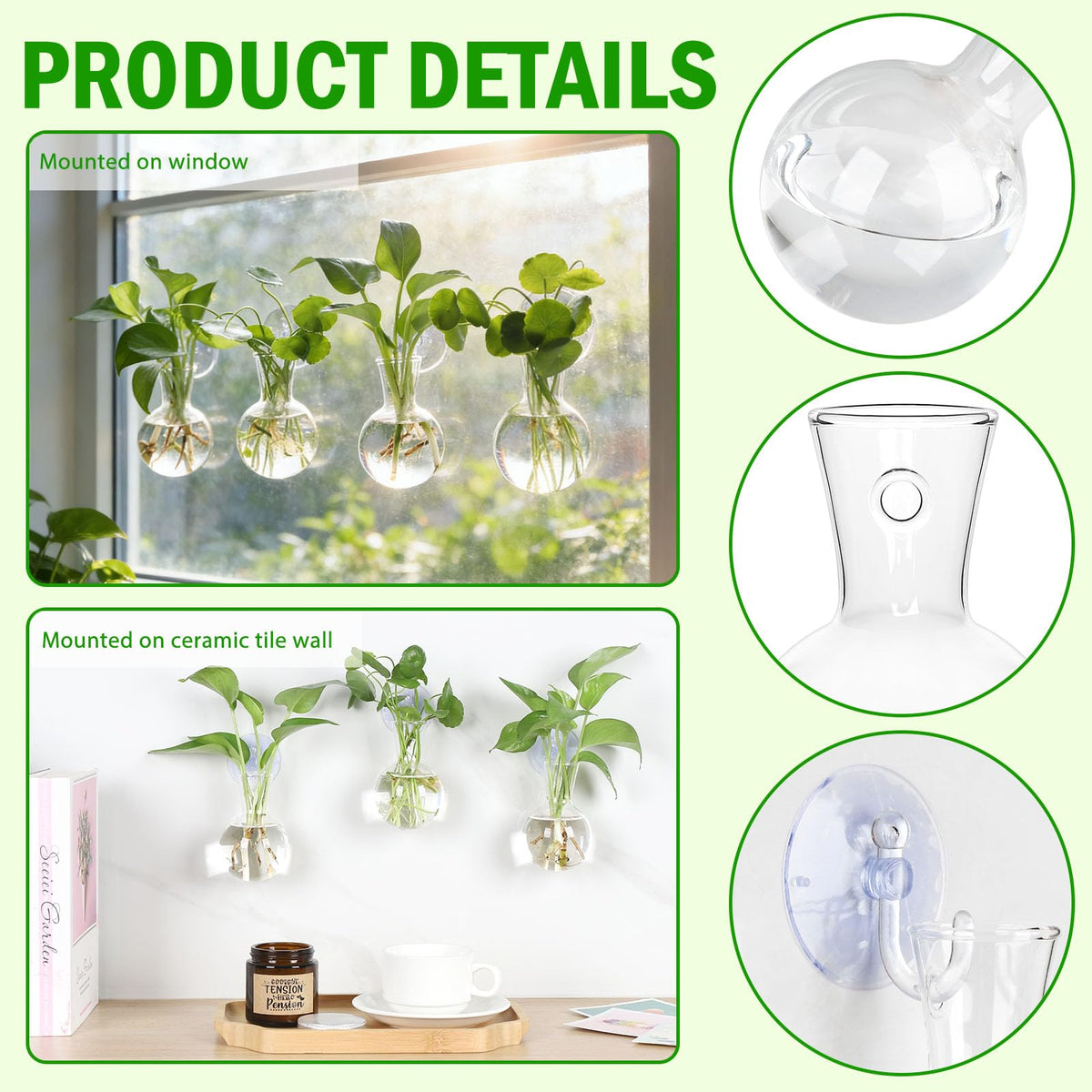 Bunmery hanging terrarium display on a sunny window enhances indoor greenery