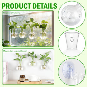 Bunmery hanging terrarium display on a sunny window enhances indoor greenery