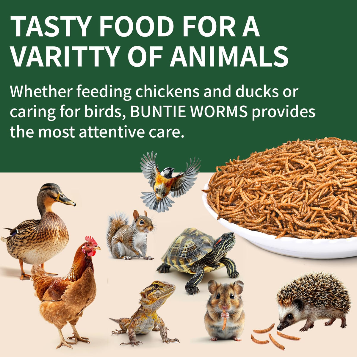 BUNTIE WORMS 5lb packaging highlights value and convenience
