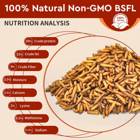 BUNTIE WORMS BSF dried larvae calcium-rich: supports strong eggshells