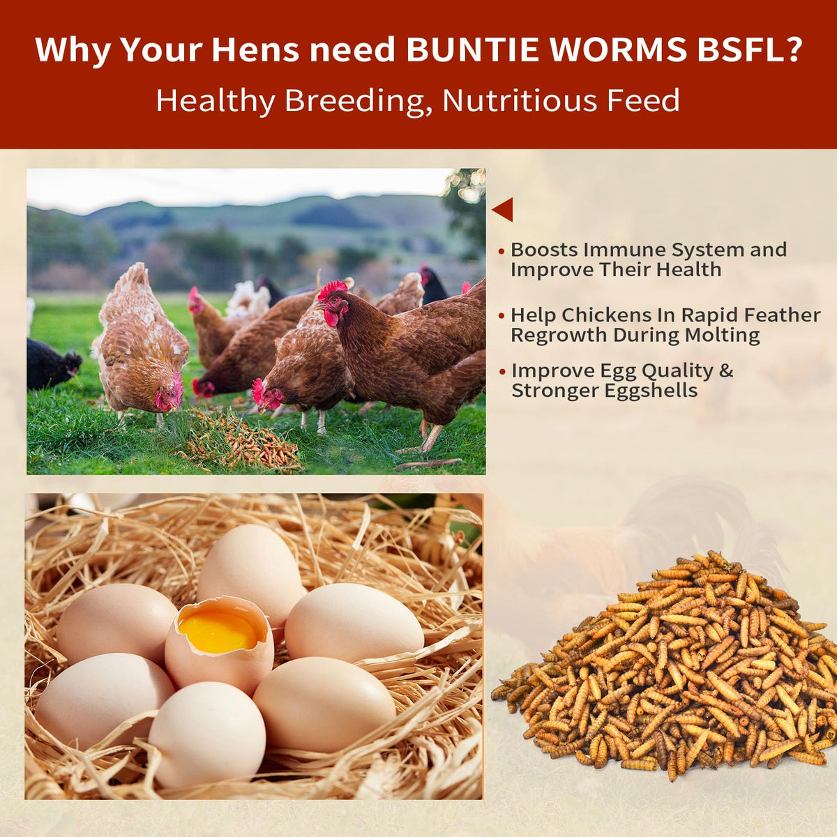 BUNTIE WORMS BSF dried larvae immunity support: may help birds resilience