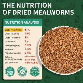 BUNTIE WORMS calcium and protein balance for versatile pets