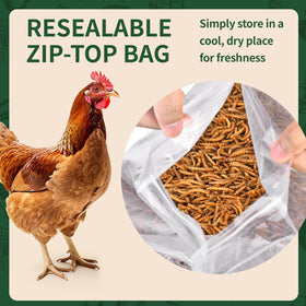 BUNTIE WORMS cool-dry storage guidance icon shows no refrigeration
