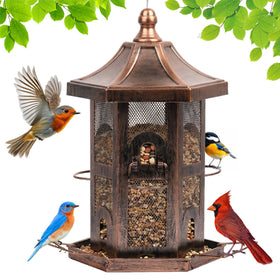 Bupioaa outdoor hanging bird feeder with a 360-degree tray for easy seed access