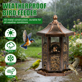 Bupioaa rust-proof finish with drainage holes keeps seeds dry