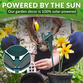 BURIUS battery-powered hummingbird lights for nighttime outdoor ambiance