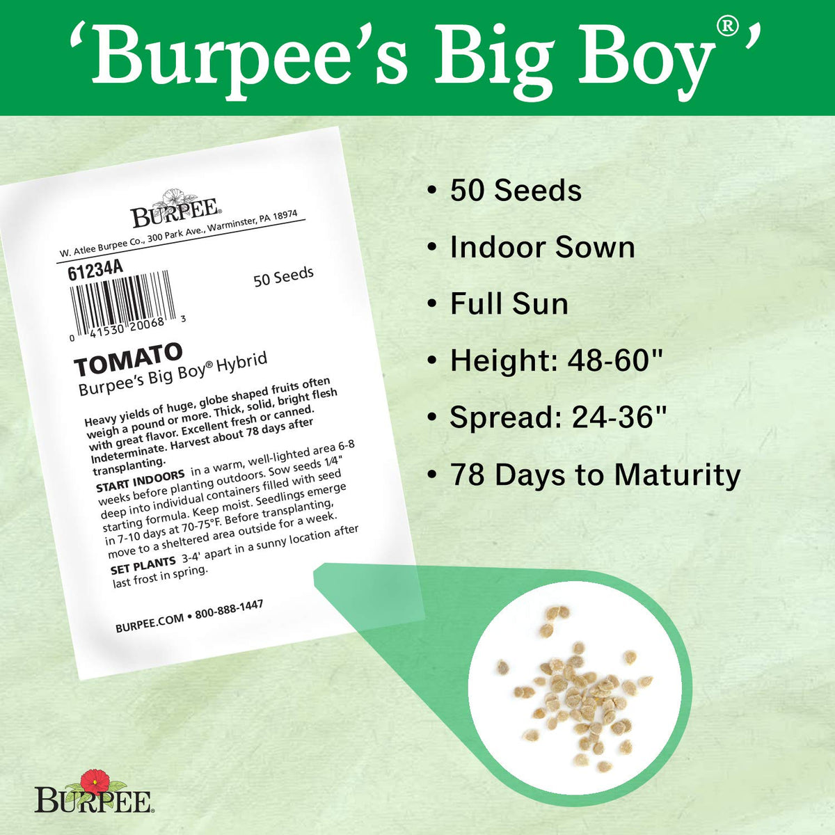 Burpee Big Boy large tomatoes promise flavorful, aromatic harvest