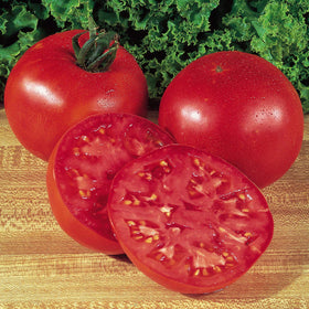 Burpee Big Boy tomato seeds pack ready for home garden planting