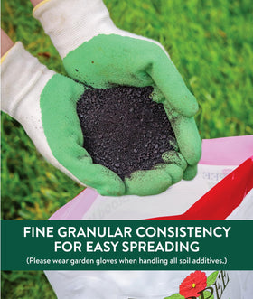Burpee Blood Meal starter fertilizer supports early growth in vegetables.