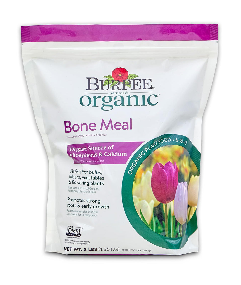 Burpee Bone Meal fertilizer granules ready to nourish strong roots and steady growth.