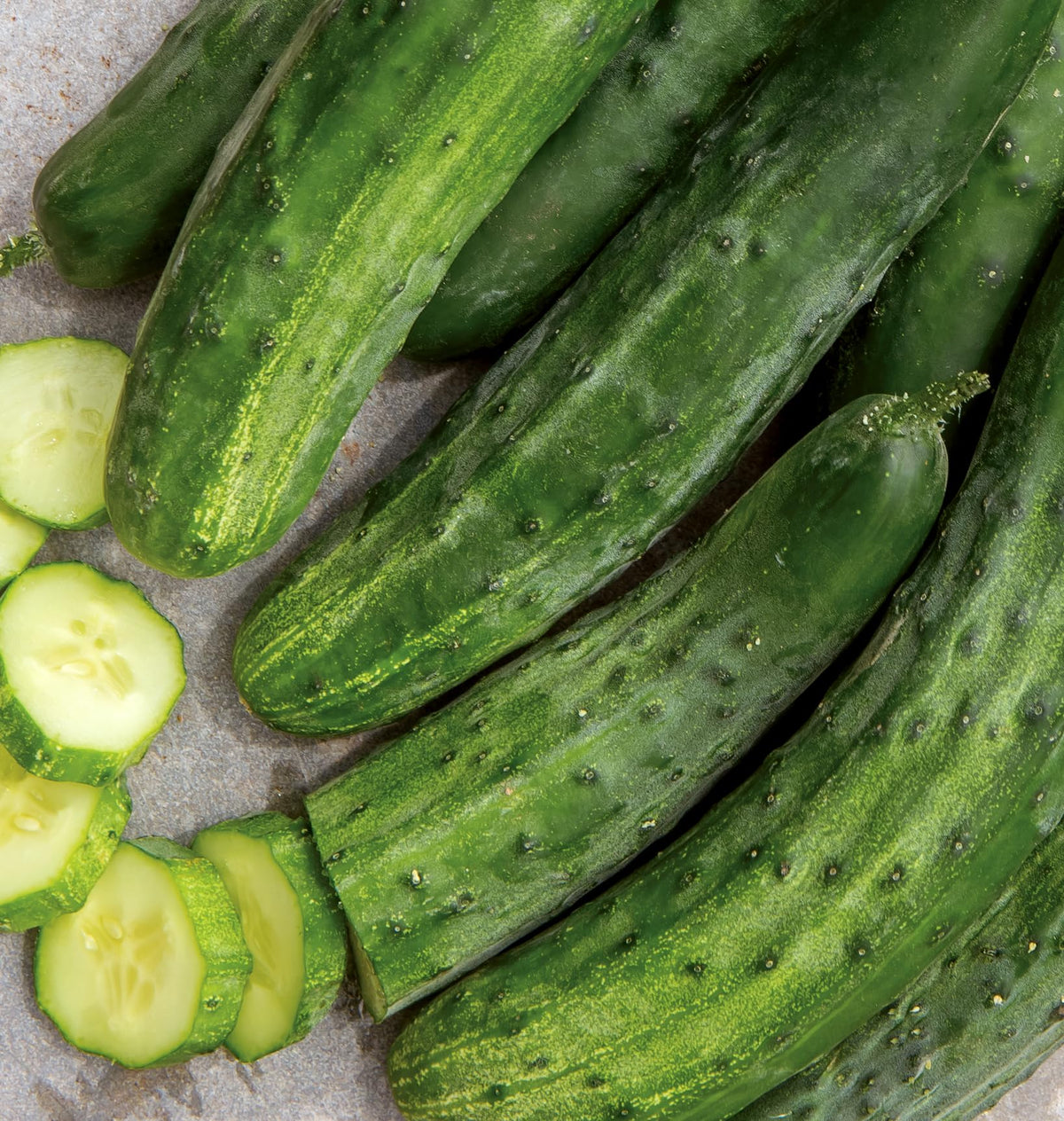 Close-up of mosaic-resistant leaves on Burpee Bush Champion cucumber
