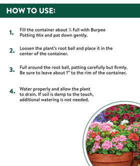 Burpee container garden tips image shows flower height layering for visual appeal.