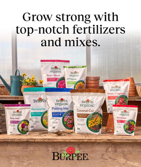 Burpee container garden example using potting mix for vegetables and herbs.