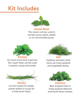 Coir pellets expand with water for simple seed germination in Burpee kit.