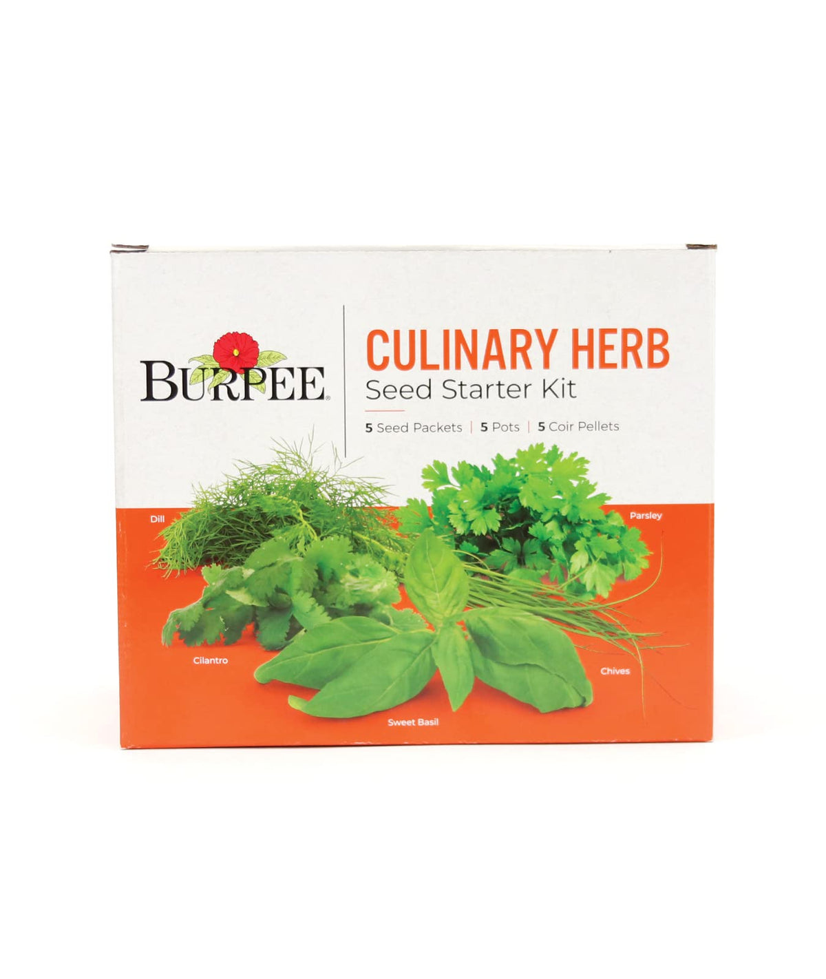 Fresh herbs ready to harvest from Burpee kit on your windowsill.