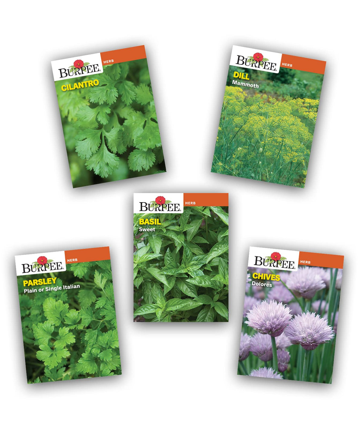 Plant markers to organize your Burpee herb garden setup.