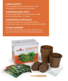 Five biodegradable pots for easy indoor herb starting with Burpee kit.