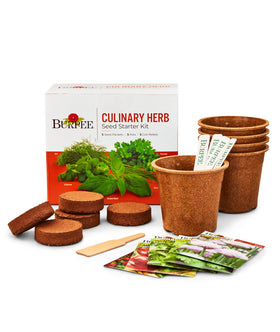 Burpee seed packets for cilantro, basil, dill, parsley, and chives for indoor windowsill herb garden.