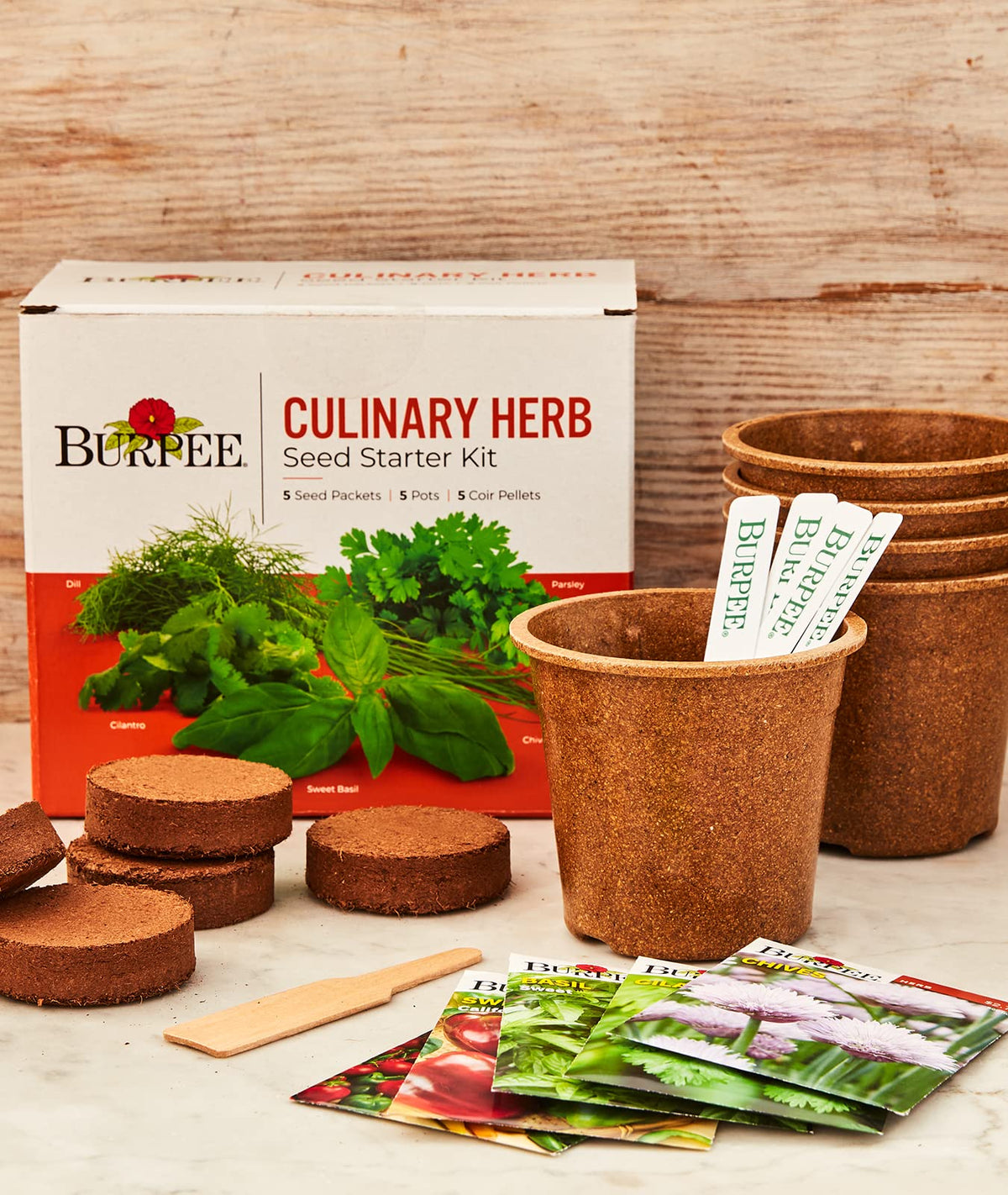 Seedlings from Burpee kit ready for windowsill or container growing.