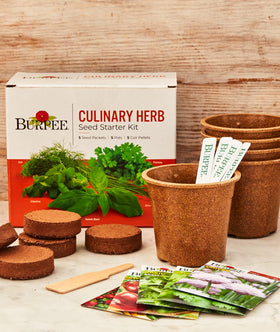 Seedlings from Burpee kit ready for windowsill or container growing.