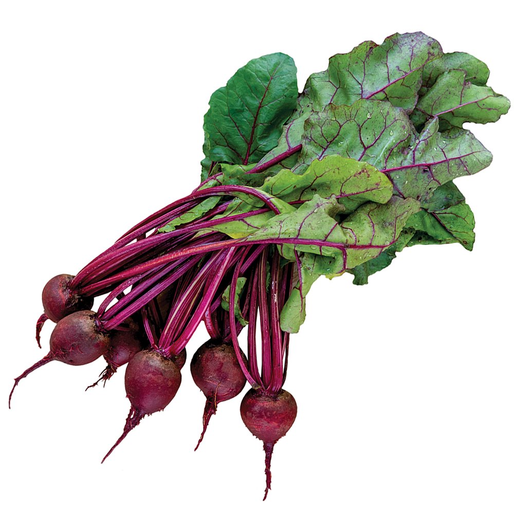 Burpee Detroit Dark Red Beet Seed Tape with 45 seeds for easy sowing and reliable results