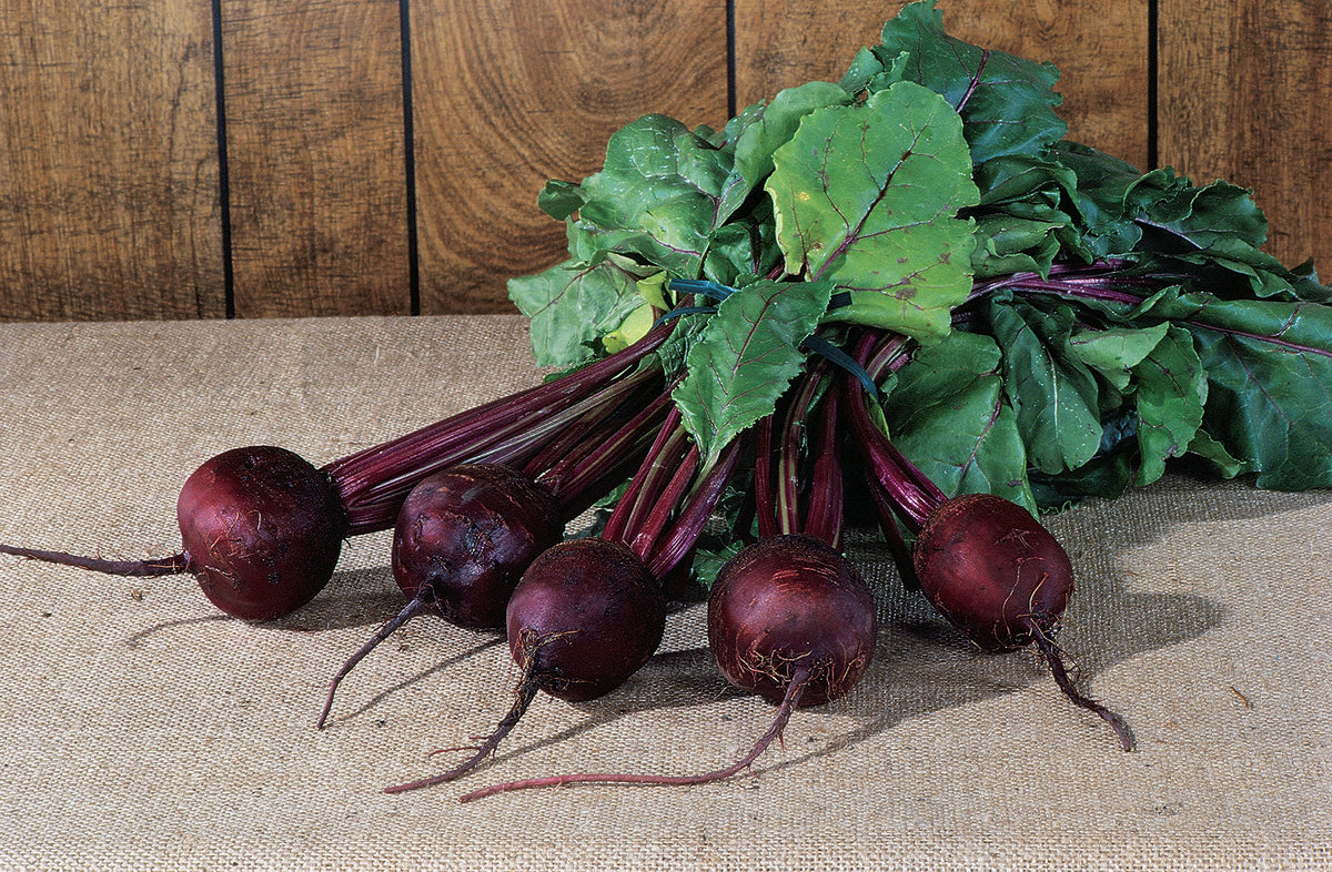 Burpee Detroit Dark Red Beet Seed Tape showing harvest timeline around 59 days