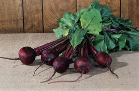 Burpee Detroit Dark Red Beet Seed Tape showing harvest timeline around 59 days