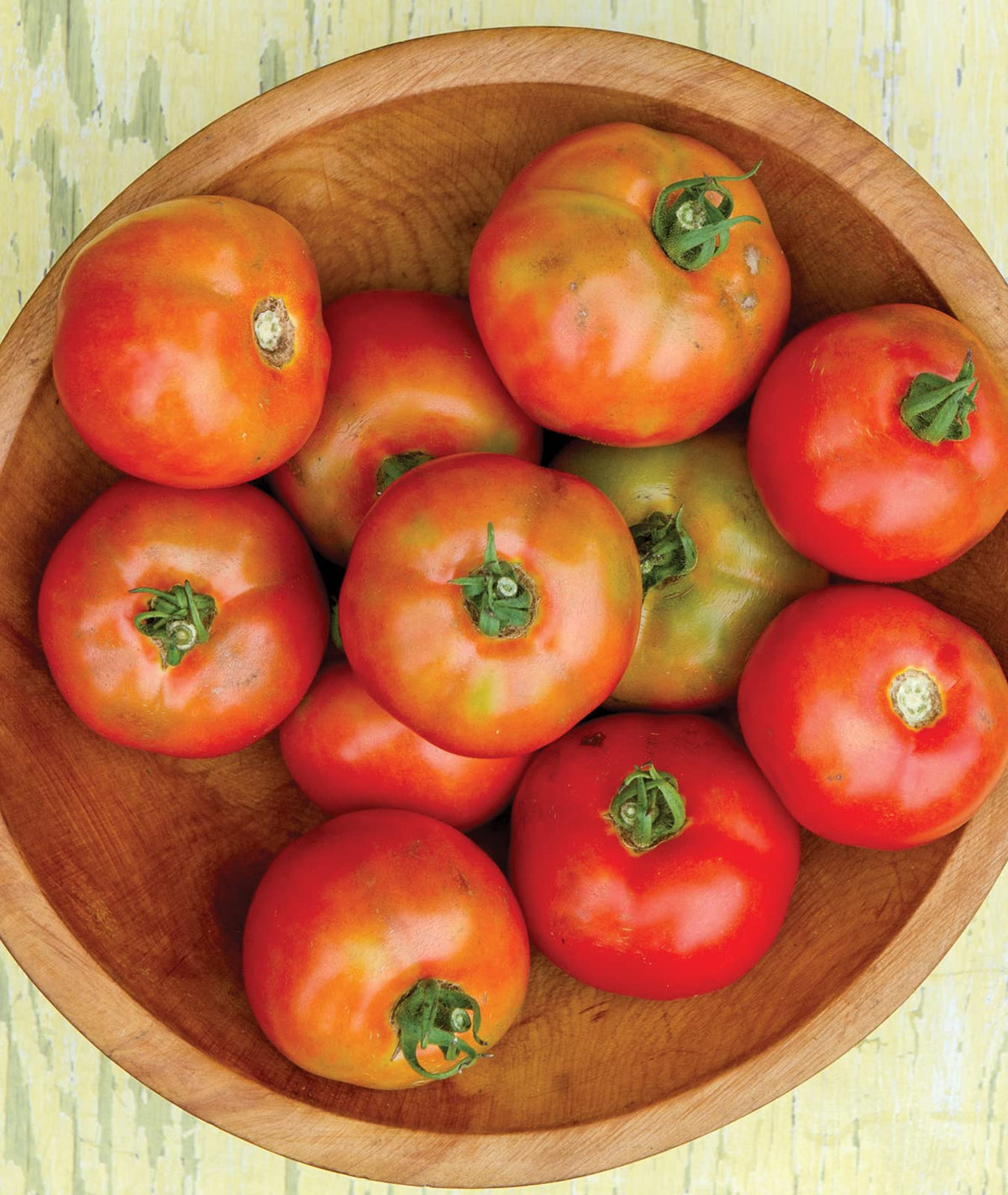 Burpee Early Girl seed-start kit simplifies home gardening.