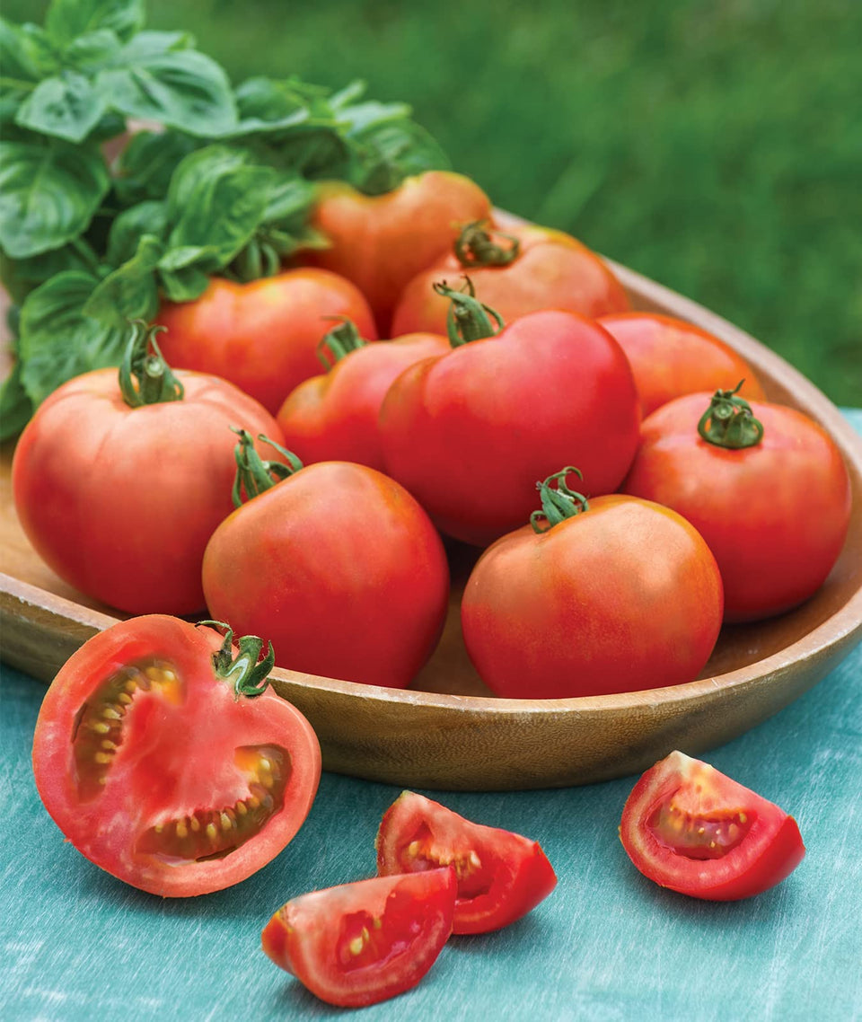 Burpee Early Girl seeds pack: a ready-to-grow kit for early, hearty tomato harvest.