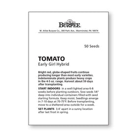 Burpee Early Girl tomato cages supporting healthy vine growth.