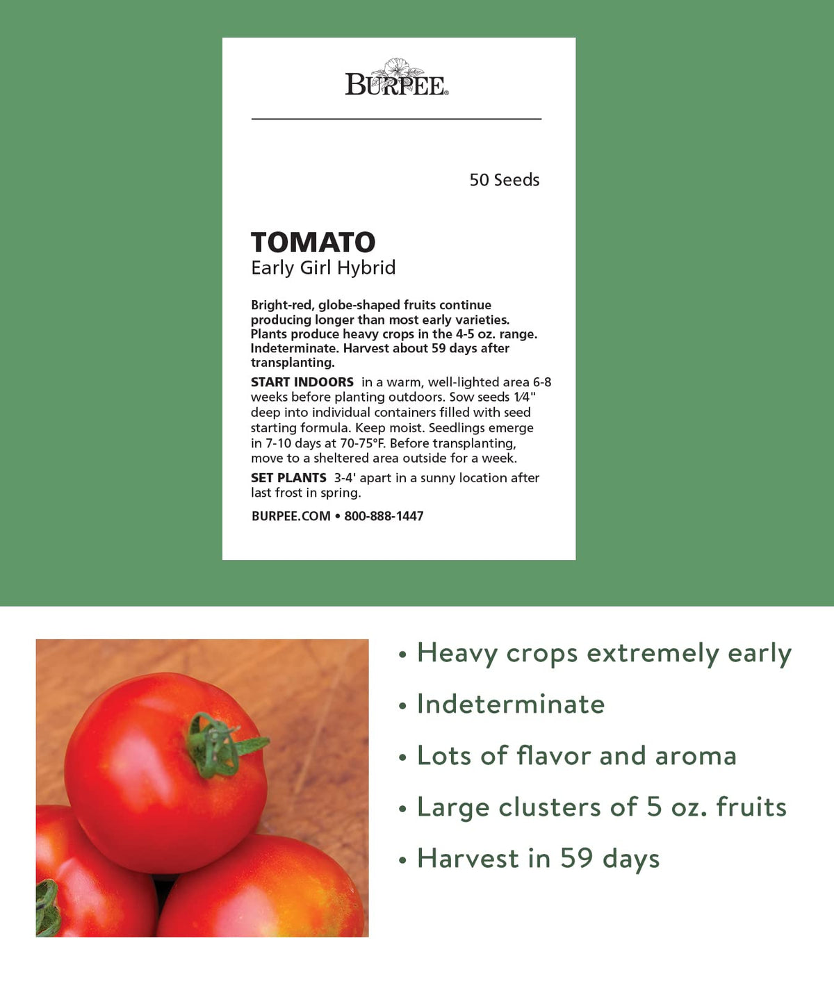 Burpee Early Girl tomato plants in a home garden for a steady summer harvest.