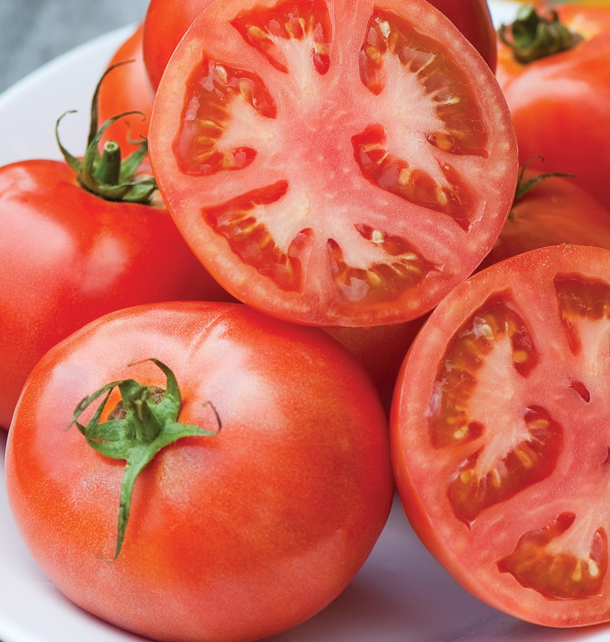 Burpee Early Pick VF Hybrid harvest showing red beefsteak fruit with solid flesh