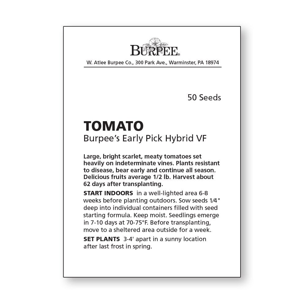 Burpee Early Pick VF Hybrid plants with 36-inch spread in a sunny garden bed