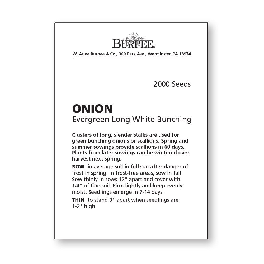Harvest-ready 60-120 day onions from Burpee Evergreen seeds for fresh home meals.