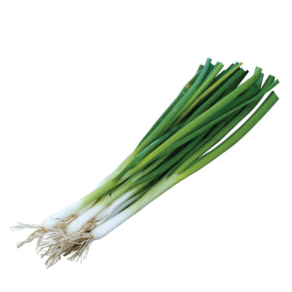 Burpee Evergreen Long White Bunching Onion seeds pack with 2000 seeds for easy garden starts.