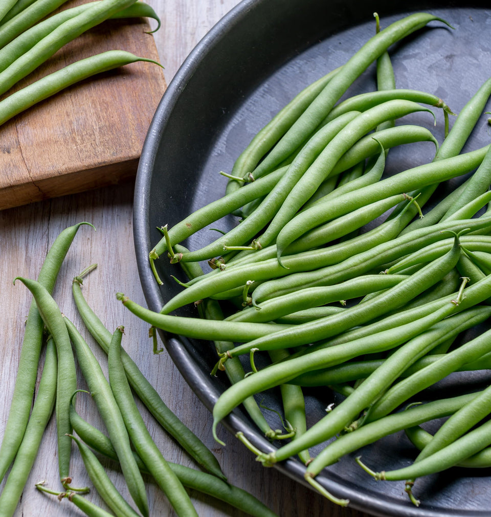 Burpee French Filet bean pods close-up with purple streaks, ideal for crisp, flavorful harvesting.