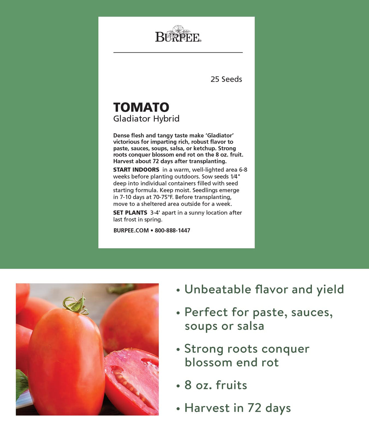 Gladiator roma tomatoes on the vine show dense flesh ready for sauces.