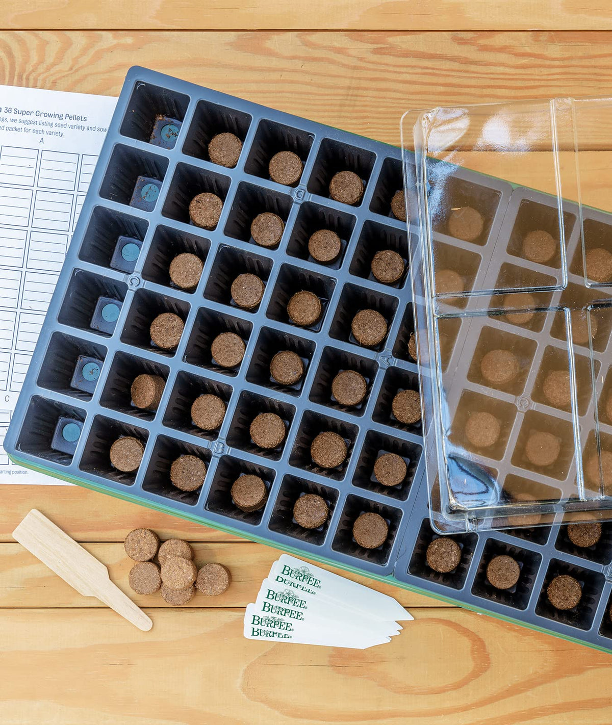Burpee water reservoir tray with seed-starting setup for moisture control