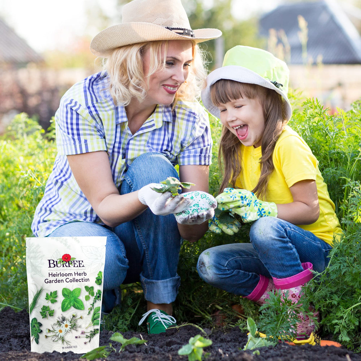 Burpee Heirloom Lavender seeds for calming fragrance in the garden.