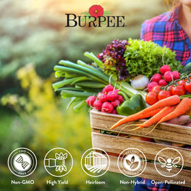 Burpee Heirloom vegetable seeds with 30,000+ seeds, ready for multiple sowings.